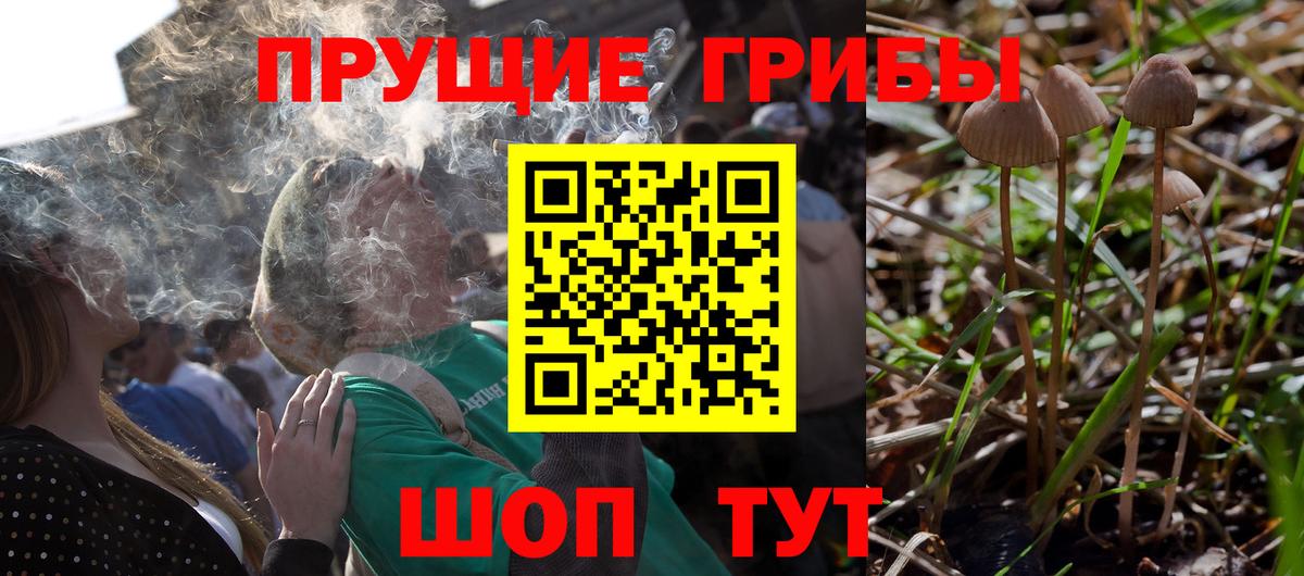 магазин продажи наркотиков  Вход с VPN  Сыктывкар  Псилоцибиновые грибы GOLDEN TEACHER  Галлюциногенные грибы Psilocybine cubensis 