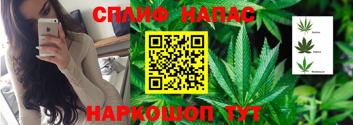 Шишки марихуана семена Сыктывкар